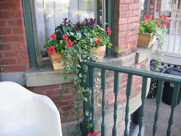 garden1