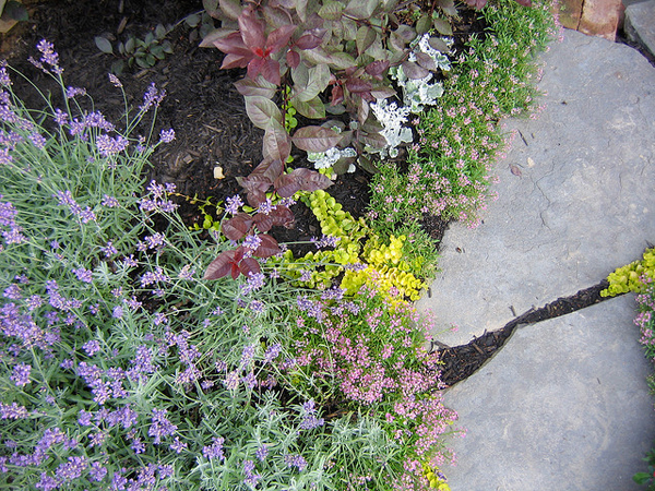 garden2