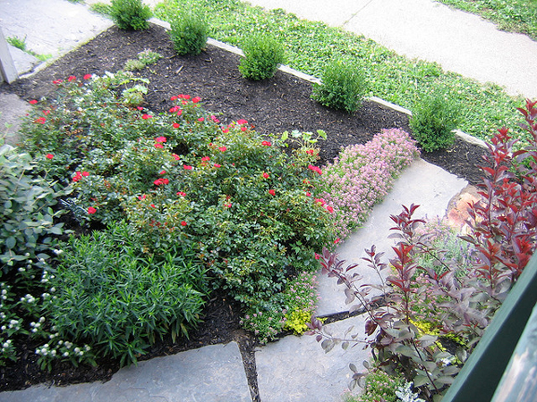 garden3