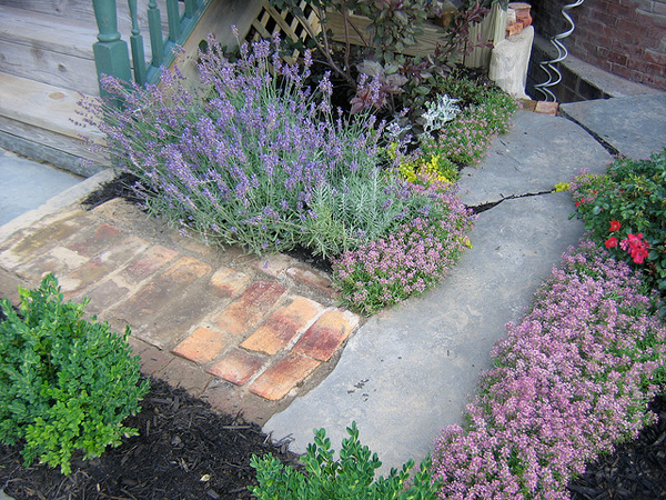 garden5