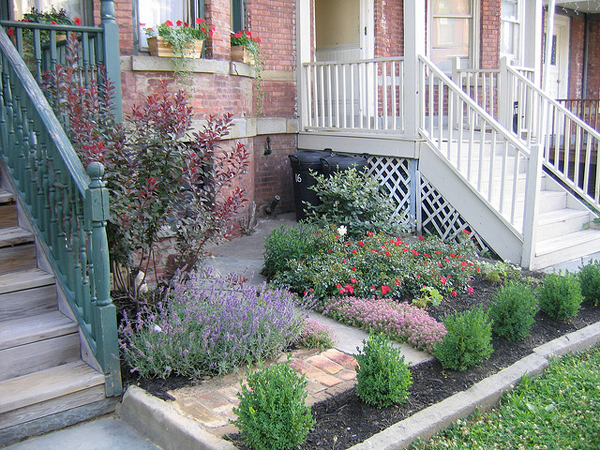 garden7