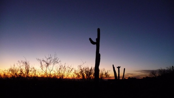 Arizona 6 Arizona 6