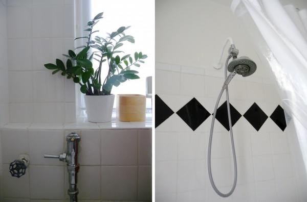 apartment bathroom, plant/showerhead apartment bathroom
