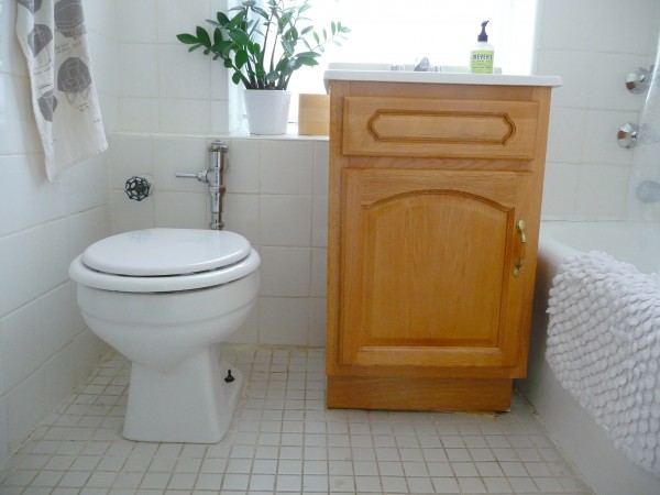 apartment bathroom, ugly apartment bathroom