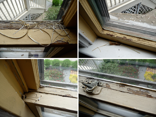 windows4 windows4