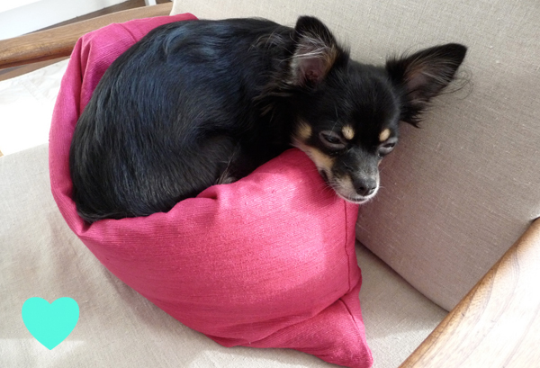 pillows_fritz